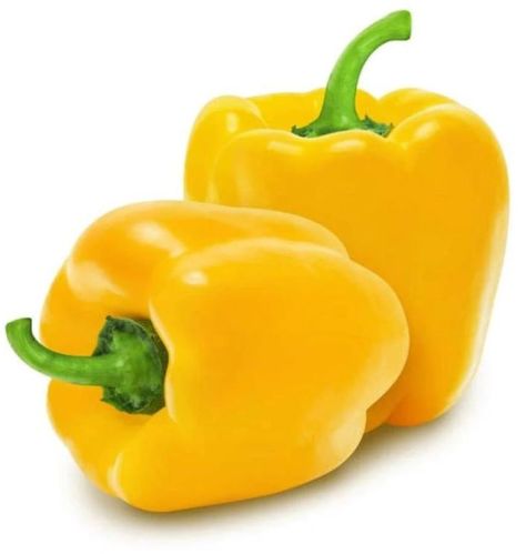 Fresh Yellow Capsicum, For Cooking, Style : Natural