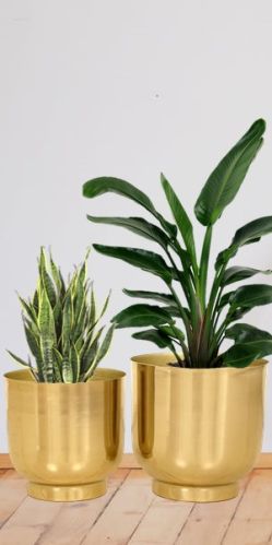 Golden Gi Sheet 2 Kg Metal Planter Set, For Catch Pot, Shelf Life : 10 Years