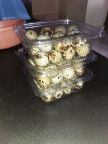 Eggs For Bakery Use, Human Consumption