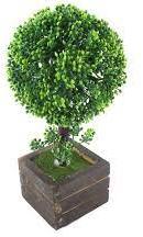 Green Plastic Artificial Bonsai Plant, For Attractive Look