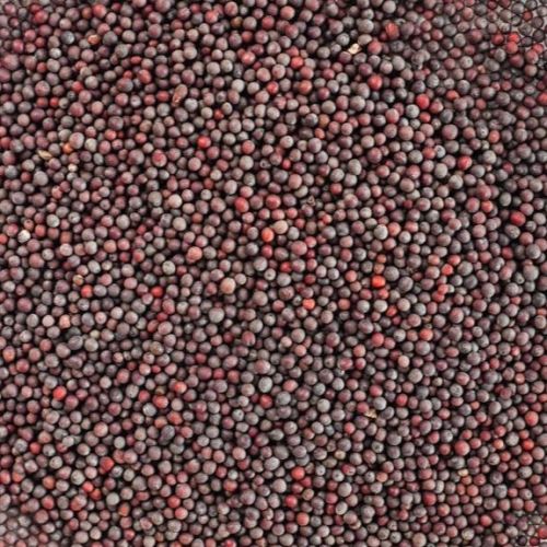 Natural Brown Mustard Seeds Food Grade for Cooking