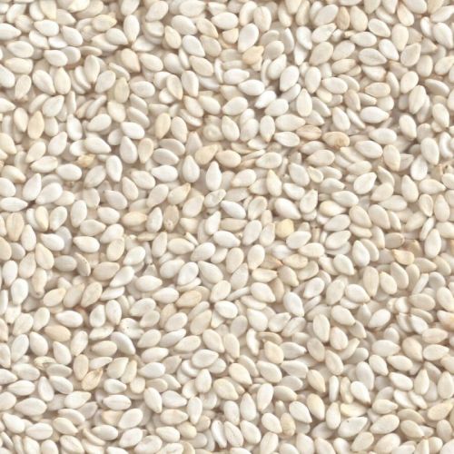 Food Grade Organic White Sesame Seeds, Seed Type : Natural