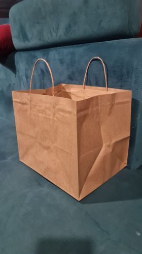 Plain Paper Carry Bags, For Shopping, Size : 12x10inch, 12×5×10