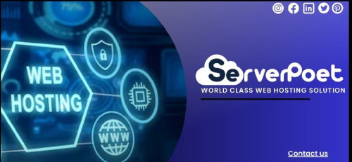 Start Your Website Journey With Shared Web Hosting Serverpoet