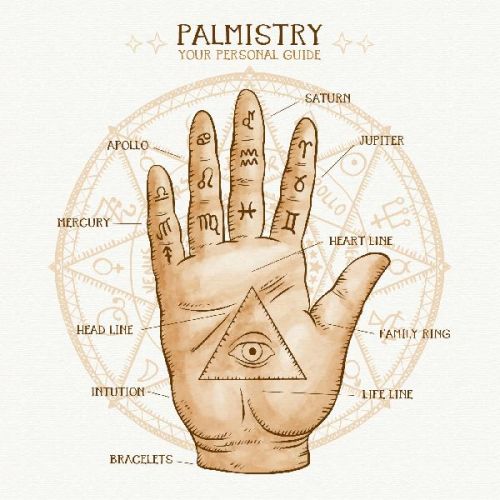 Palm Reading