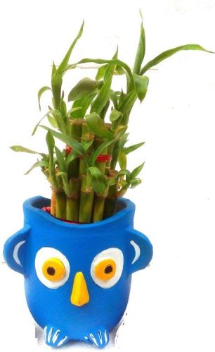 Multicolors Round Polished Terracotta Housewarming Gifting Tulsi Planter