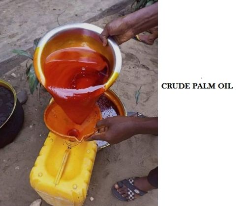Palm oil, Material : Palm Oil