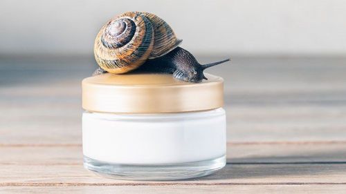 Snail Mucin Essence