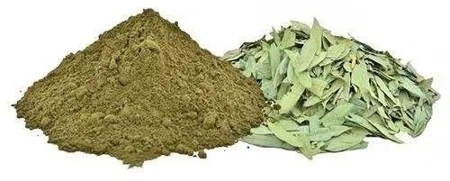 Powder Natural Senna Extract, For Medicinal, Style : Dried