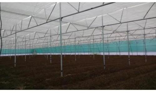 Shade Net House, Feature : Longer Life, Sturdy, Seamless Finish