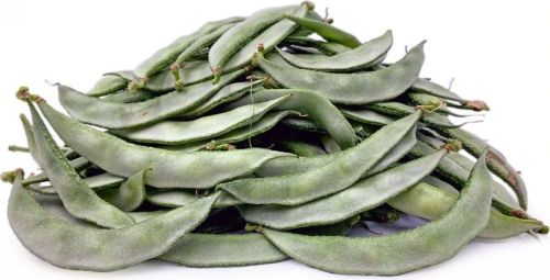 Natural Broad Beans (C-Box), For Human Consumption