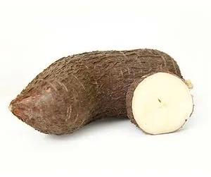 Organic Tapioca (C-Box), For Cooking