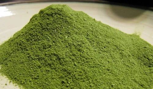 Organic Moringa Leaf Powder, Style : Dried