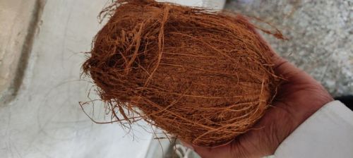 Hard Natural Coconuts, For Pooja, Cosmetics, Cooking, Packaging Size : 10kg