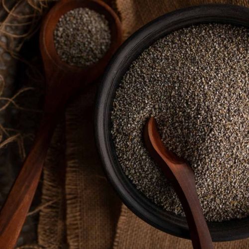 Light Green Organic Pearl Millet Seeds, For Cooking, Cattle Feed, Style : Dried