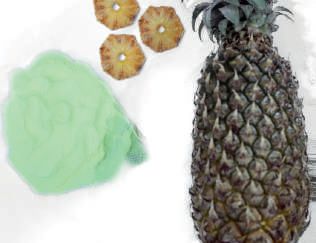 Light Green Pineapple Extract, Packaging Type : Poly Bags