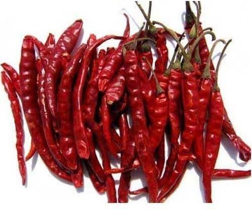 Solid Raw Natural Kashmiri Red Chilli, For Spices, Specialities : Long Shelf Life, Rich In Taste