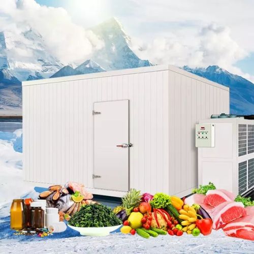 Prefabricated Commercial Walk In Sliding Swing Traffic Doors Deep Blast Frozen Freezer Frozen Chambre Froide Refrigerator Cold Room