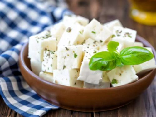 Paneer Testing Services