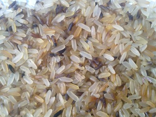 Organic Indian Soft Rice Rejected For Human Consumption, Food, Cooking