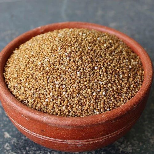 Natural Kodo Millet Seeds, For Cooking, Style : Dried