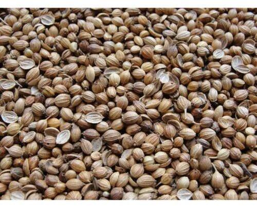 Coriander Seed, Packaging Type : Loose