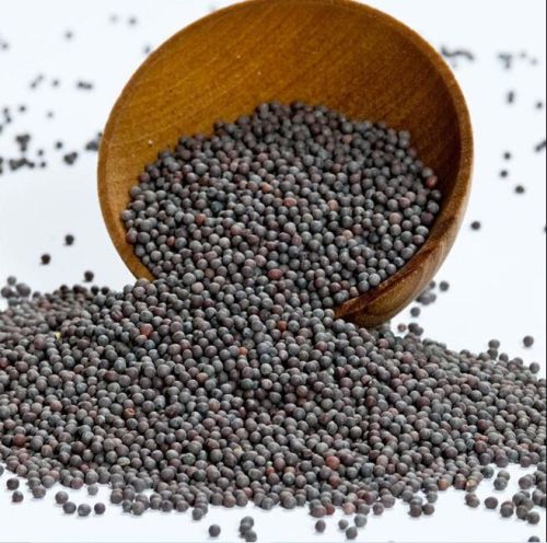 DEV Sortex Mustard Seeds, For Cooking, Food Medicine, Certification : FSSAI Certified