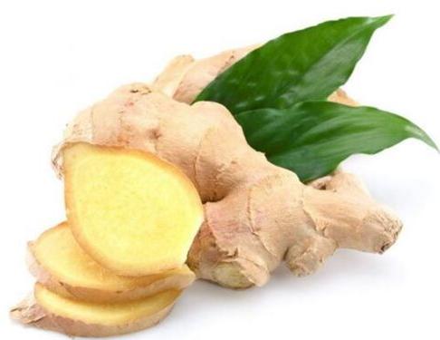 Organic Fresh Mango Ginger, For Cooking, Style : Natural