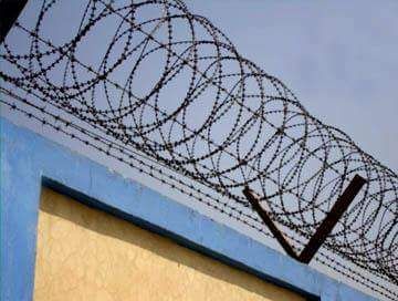 Concertina Coils, For Industrial, Length : 1-20 Feet