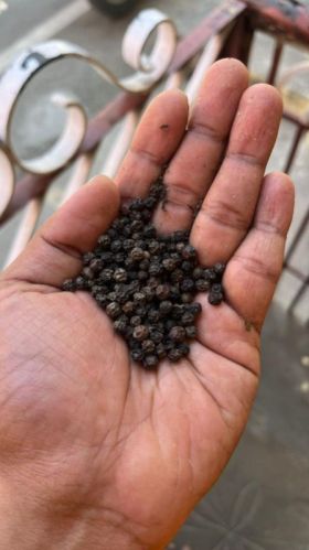 Thaen Sholai Black Pepper