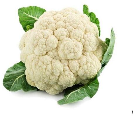 Organic Fresh Cauliflower, For Good Nutritions, Hygienically Packed, Packaging Size : 10kg, 20kg