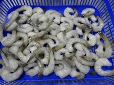 Natural Frozen Prawn With Tail, For Cooking, Human Consumption