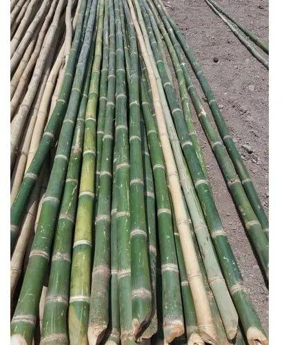 Bamboo Scaffolding, For Construction