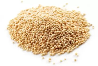 Natural Amaranth Seeds, For Human Consumption, Color : Creamy