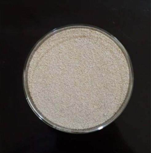 Food Grade Instant Active Yeast, Brand Name : OEM