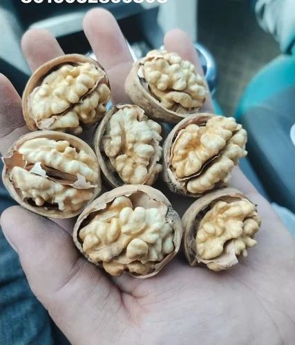 White Kashmiri Kagzi Walnut, For Oil, Cooking, Taste : Light Sweet