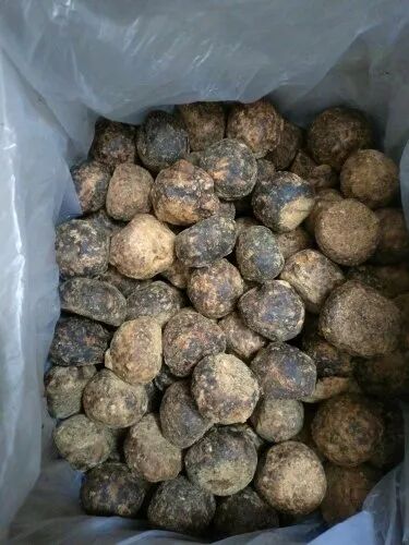 Poorvigam Palm Jaggery, Color : Golden