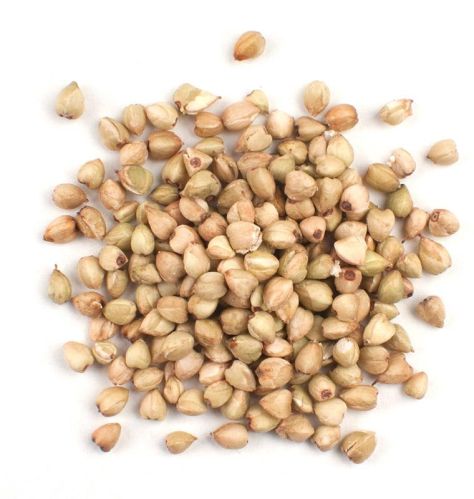 Common Buckwheat Millet, For Making Bread, Cookies, Packaging Type : Jute Bag, Gunny Bag