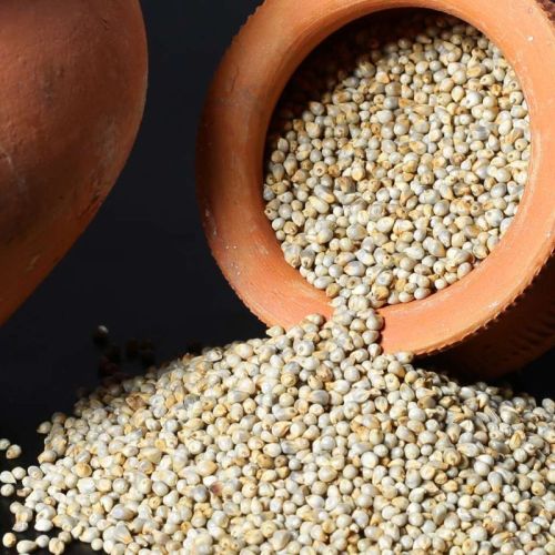 Common Organic Pearl Millet, For Cooking, Cattle Feed, Style : Dried