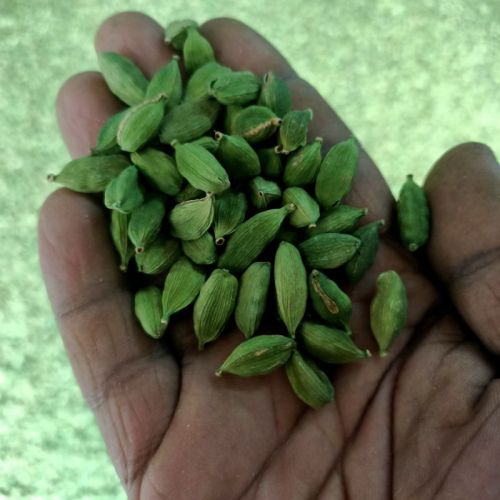 Green Cardamom, Grade Standard : Food Grade