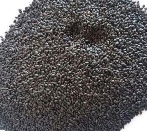 Black Tulsi Seeds, For Medicine, Packaging Type : Loose