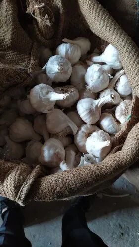 Fresh Garlic, Packaging Type : Loose