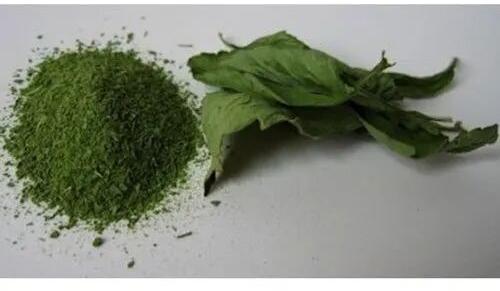 Stevia Powder, Packaging Type : Loose
