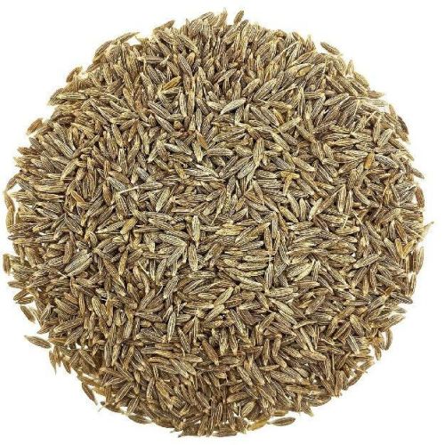 Natural Cumin Seeds, Grade Standard : Food Grade