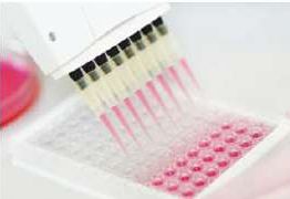 Multi Color Rectangular Plastic Elisa Serological Plate, For Laboratory, Certification : ISI Certified