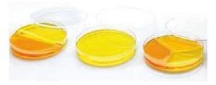 Polished Plastic Extra Depth Petri Dish, Size : Standard