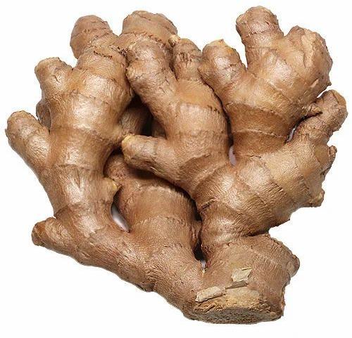 Light Brown Fresh Ginger, For Cooking, Packaging Type : Gunny Bags
