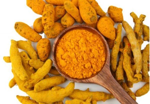 Finger Sangli Turmeric, Packaging Type : Plastic Packets, Gunny Bag