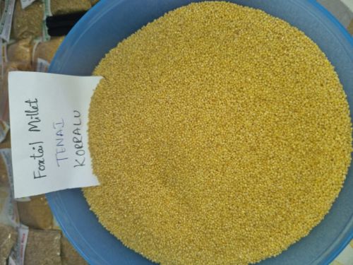 Hulled Natural Foxtail Millet Rice For Cooking