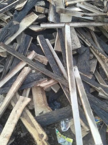 Brown Logs Babool Firewood, For Burning Use, Feature : Environment Friendly